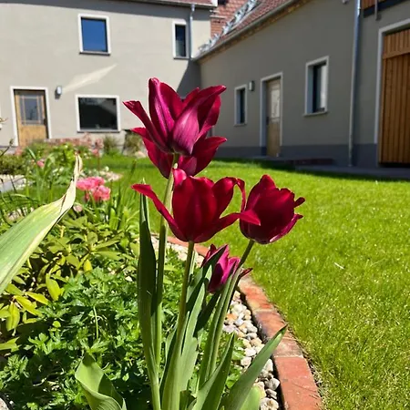 Lejlighed Suedseequartier - Familienfreundliche 5-Sterne-Apartments Mit Sauna, Vinothek & Spielplatz Im Lausitzer Seenland