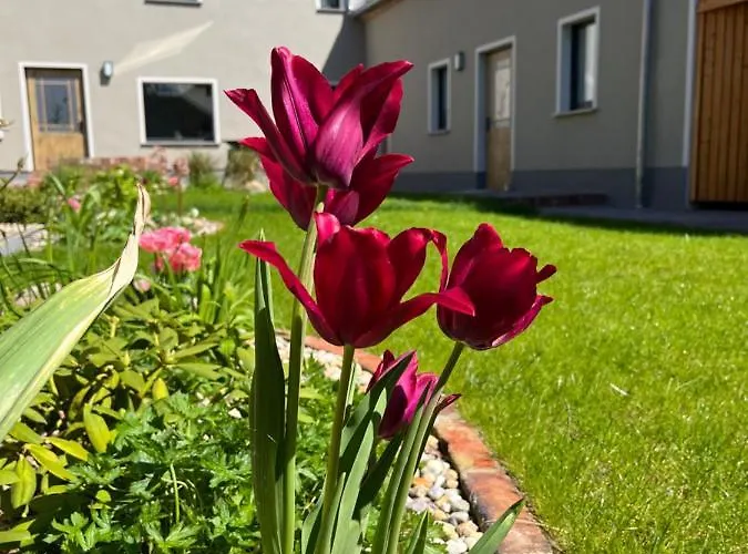 Lejlighed Suedseequartier - Lausitzer Seenland